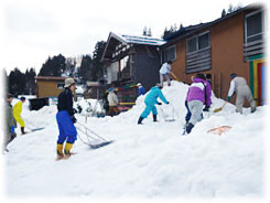 ボランティアの協力による除雪作業（提供：新潟県）